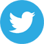 Twitter article share button